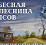 В РАМКАХ ГОДА ЕДИНСТВА НАРОДОВ РОССИИ: НЕБЕСНАЯ КОЛЕСНИЦА ВЕПСОВ - Газета Свирские огни